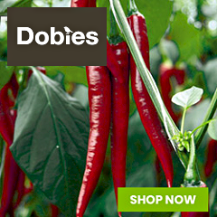 Dobies - Find Fruit and Veg Plug Plants for Your Garden