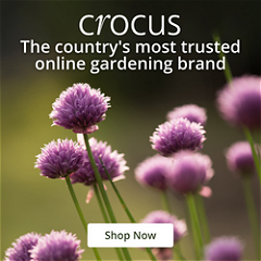 Link to the Crocus website