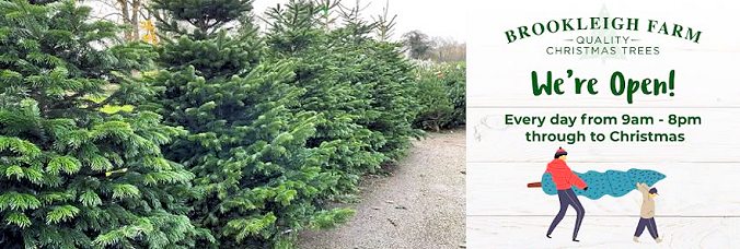 Brookleigh Farm - Pot-grown & Freshly Cut Christmas Trees Brookleigh Farm - Pot-grown & Freshly Cut Christmas Trees