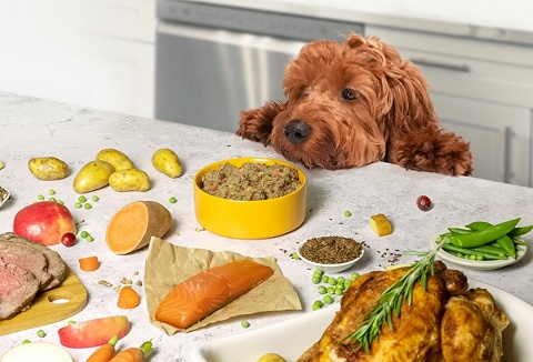 Link to the Pure Pet Food website