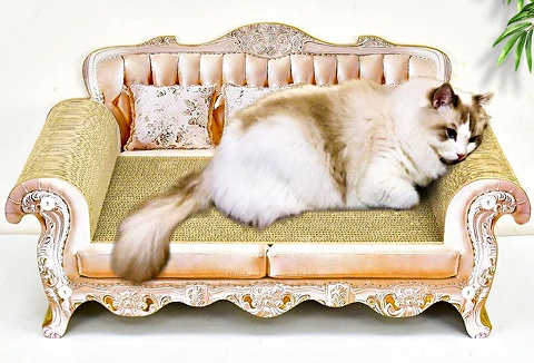 Link to the Pets Villa website