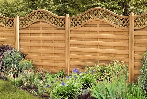 Link to the Buy Sheds Direct website