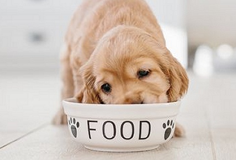 Link to the Electrical World website Link to the Electrical World website