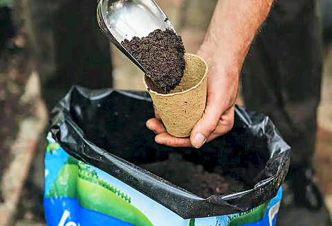 Link to the Chessington Garden Centre website