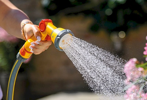 Link to the Chessington Garden Centre website Link to the Chessington Garden Centre website