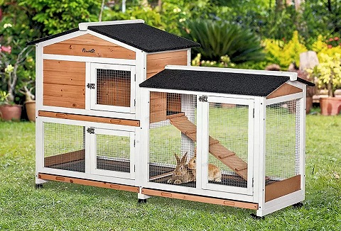 Link to the Living Chic website