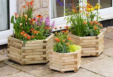 Link to the Living Chic website Link to the Living Chic website